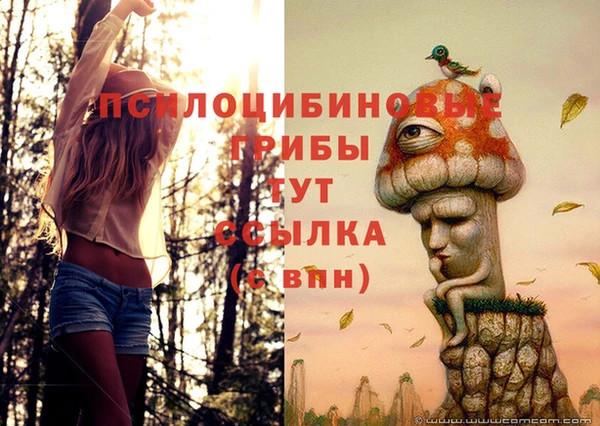 дживик Абдулино